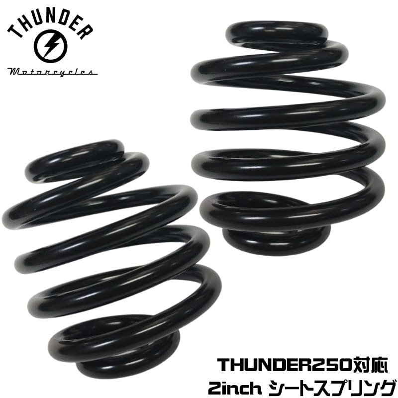 Amazon | THUNDER MOTORCYCLES サンダー250 ハードテイルモデル対応 2